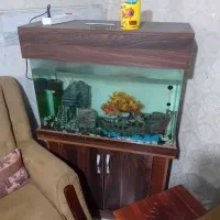 فروش آکواریوم