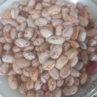 لوبیا چیتی