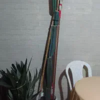 سرئوس پریانوس بزرگ