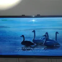 ال ای دی 43LG. 2018 ریسیور دار اصل کره