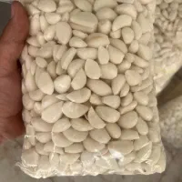 سیر حبه