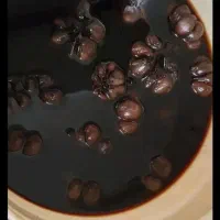 سیر ترشی