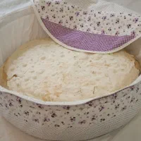 جانونی نون محلی و سرویس آشپزخانه