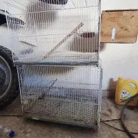 دو عدد قفس پرنده و طوطی‌ و عروس سایز ۷۰