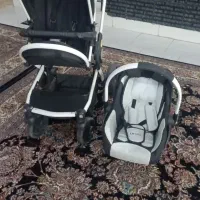 کالسکه و کریرو روروئک دلیجان