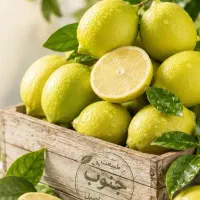 پخش لیمو و آبلیموی اصیل و درجه یک