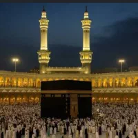 فیش عمره ۴ عدد