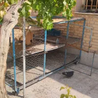 قفس آهنی