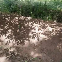 کارگاه ۷۵متری جاجرود،فروش/تهاتر