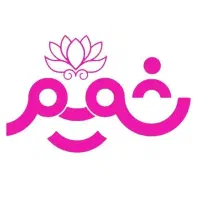 نیروی ادمین و فضای مجازی