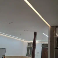 نیروی ماهر