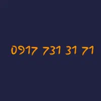 09177313171