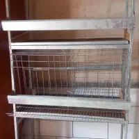 قفس مرغ تخم گذار