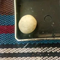 خرید و فروش کارشناسی سنگ قیمتی