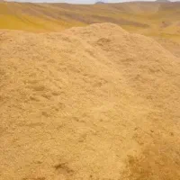 باسلام فروش کاه گندم وجو