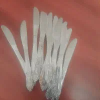 دو دست کارد میوه خوری ژاپنی استیل