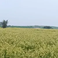زمین-کشاورزی