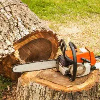 اره موتوری علف زن