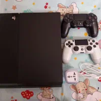 PS4 Fat