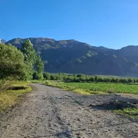 ۴ قطعه زمین تفریحی ۱۰۰۰ متری