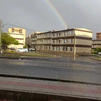 همخانه خانم افغان