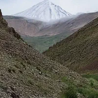 زمین-کشاورزی