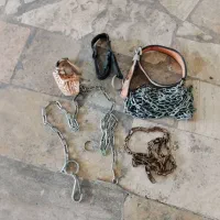 لوازم سگ خانگی