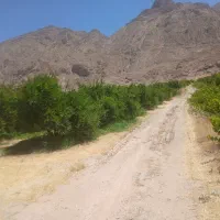 فروش باغ مرودشت شهر فاروق