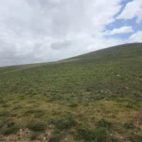 معدن سنگ لاشه