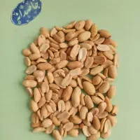 بادام زمینی مخصوص کره گیری