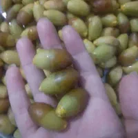 رطب خوشمزه و شیرین