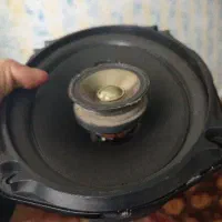 باند پایونر ۶۹۷۵