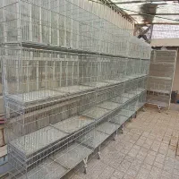 6دست قفس جوجه پران ۸خوان غلامی