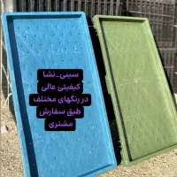 فروش سینی نشا برنج زیر قیمت کل ایران