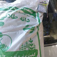 بزریونجه