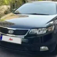 سراتو آبشنال ۹۷-تک برگ-خانگی