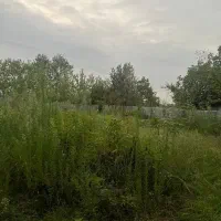250 متر مسکونی روستایی / تک برگ