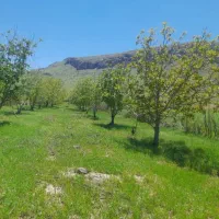 زمین با طرح باغ ۲۰۰ متر مبلغ یک میلیارد تومان