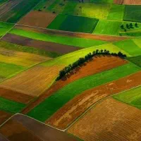 خرید زمین جهت باغ ویلا