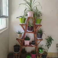 استند|گل و گیاه طبیعی|شاهرود, |دیوار