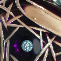 ظروف پذیرایی