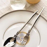 سرویس لوکس پالرمو با جعبه هاردباکس خیلی شیک
