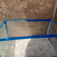 یک عدد آکفاریوم کوچک