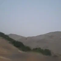 8000متر زمین آجودانیه مشارکت درساخت