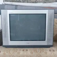 تلویزیون