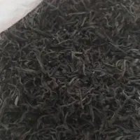 چای لاهیجان