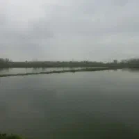 فروش استخر ماهی گرمابی