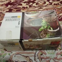 استکان چای خوری و دمنوش خوری شش تکه