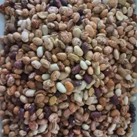 لوبیا چیتی