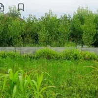 خرید زمین مسکونی در آستار